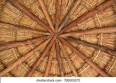 Palapa Interior