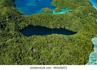 Palau Jellyfish Lake