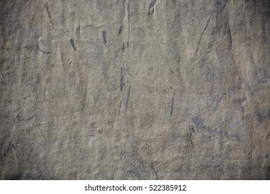 Pale background.