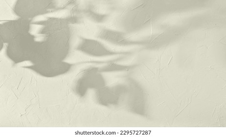 Pale green textured plaster wall with abstract sun light shadow foliage silhouette, elegant floral background with copy space