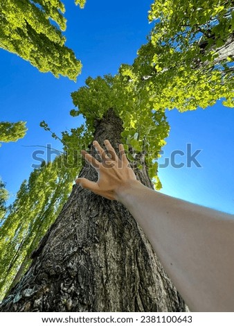 Similar – Image, Stock Photo cherry harvest Branch Tree