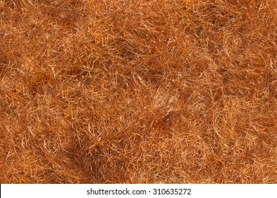 Pale Of Red Beard Cut Hair Texture