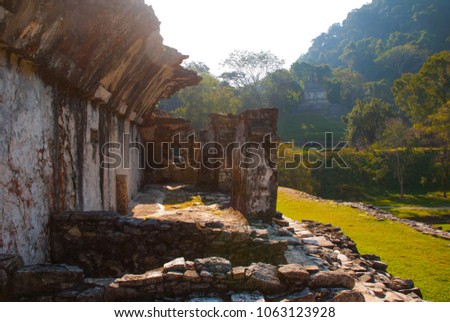 Palenque, Chiapas, Mexico: Archaeological site with mountains in the background. Landscape of the ancient city of Maya.