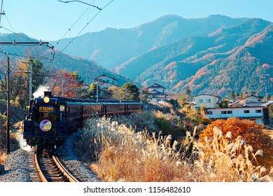 The Paleo Express hauled by a steam locomotive travels on Seibu Chichibu Railway thru the idyllic countryside with fall colors on the mountains & gold Miscanthus grass in the field, in Saitama, Japan
