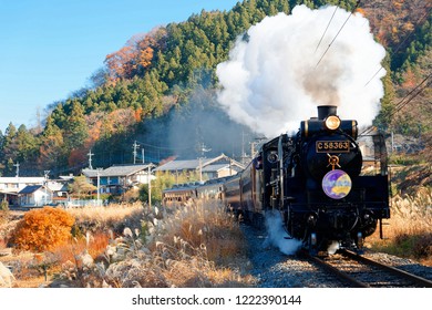 The Paleo Express Hauled By A Steam Locomotive Travels On Seibu Chichibu Railway Thru The Idyllic Countryside With Fall Colors On The Mountains & Gold Miscanthus Grass In The Field, In Saitama, Japan