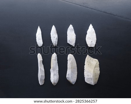 paleolithic chipped stone tools made of flint