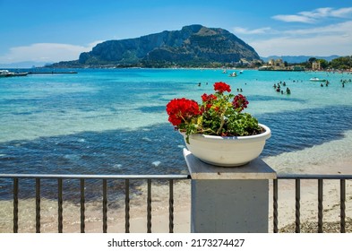 Palermo, Sicily - July 29, 2016: Sea Coast In Palermo. Beautiful Old Resort. Outdoor Red Flowers In A Pot