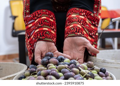 Palestinian female holding heep of olives in her hands