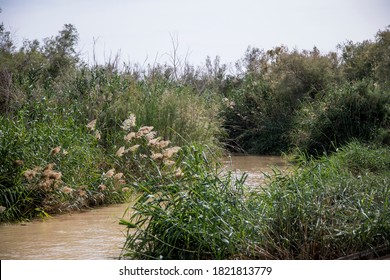 Palestinian Territory, West Bank. Jordan Rift Valley, Jordan River.