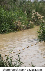 Palestinian Territory, West Bank. Jordan Rift Valley, Jordan River.