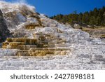 Palette spring, travertine terraces, mammoth hot springs, yellowstone national park, unesco world heritage site, wyoming, united states of america, north america