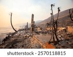 The Palisades fire burns fiercely during a powerful windstorm, spreading devastation across the west side of Los Angeles, California.