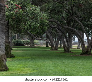 Palisades Park, Santa Monica