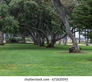 Palisades Park, Santa Monica