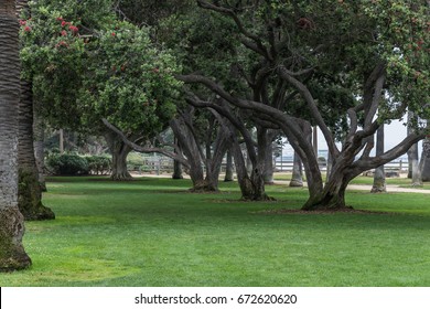 Palisades Park, Santa Monica