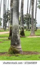 Palisades Park, Santa Monica