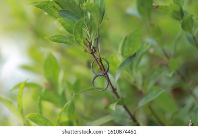 Palladium Rings Twisted And Green Leaves