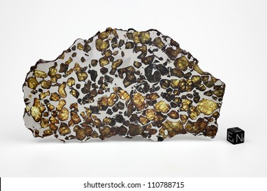 Pallasite Meteorite Imilac