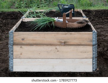  Pallet Collars Used As Raised Beds On A Small Holding Allotment  Showing Fresh Compost And Newly Planted Veg 