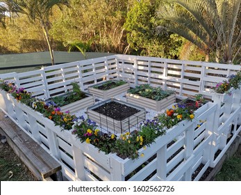 Pallet Garden Home Insperation Diy