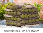 Pallet with rolls of sod turf grass. The rolled grass lawn is ready for laying by builders