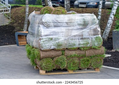 Pallet with stack of turf grass rolls to decorate landscape design in residential area. Lawn fresh grass rolls stacked on pallet in city yard. Concept of preparation for ennobling of urban environment