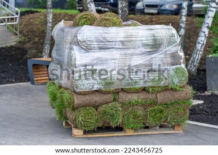 Pallet with stack of turf grass rolls to decorate landscape design in residential area. Lawn fresh grass rolls stacked on pallet in city yard. Concept of preparation for ennobling of urban environment