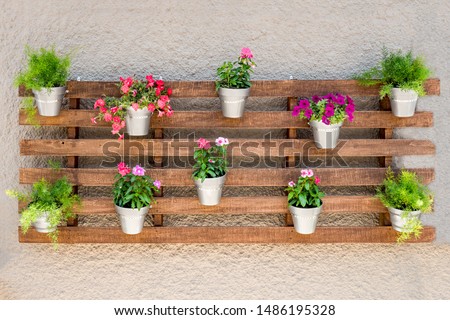 Pallets second life. Lifehack. Potted plants hanging on wooden background. Plants and flowers in the pots. Modern plant pot from aluminium bucket, hanging on wall pattern and background