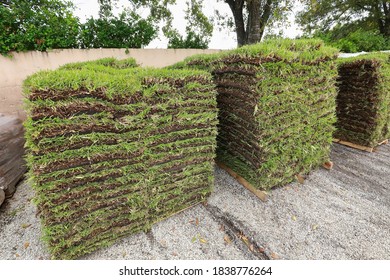Pallets of St. Augustine sod waiting to be sold at a local garden center.  - Shutterstock ID 1838776264