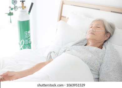 Palliative Care,  Old Asian Patient Sleep On White Bed