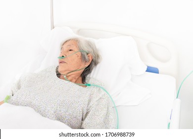 Palliative Care,  Old Asian Patient Wear Oxygen Cannula And Sleep On White Bed, She Feeling Lonely, Necklace Old Female, Mother's Day