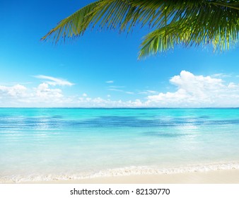 Palm Beach Stock Photo 82130770 | Shutterstock