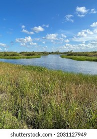 Palm Beach Gardens Swamp Bayou River Landscape