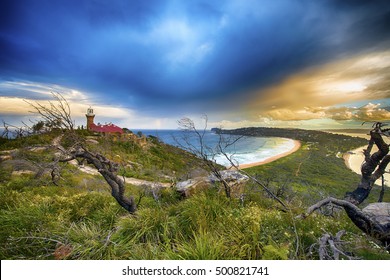 Palm Beach NSW Australia