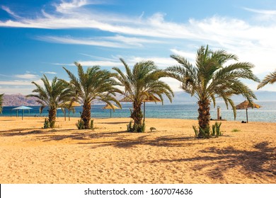 Palm Beach Summer Time Vacation Resort Destination Landscape With Ocean Water Scenic Background View And Sand Shore Line Foreground