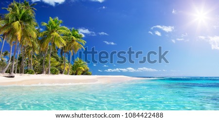 Palm Beach In Tropical Idyllic Paradise Island -  Caribbean - Guadalupe
