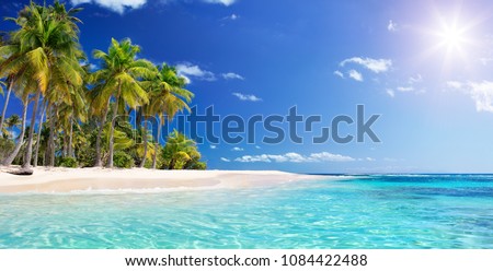 Similar – Image, Stock Photo Tropical beach paradise in Miami, Florida