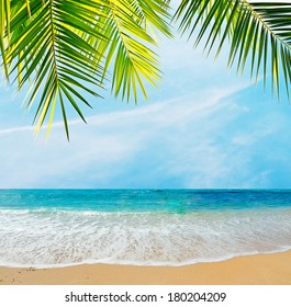 Palm Branch Over Tropical Beach Stock Photo (Edit Now) 180204209