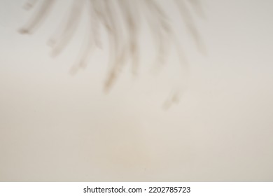 Palm Branch Shadow Against A Bright Beige Background. Tropical Summer Concept. Background Pattern. Copy Space.