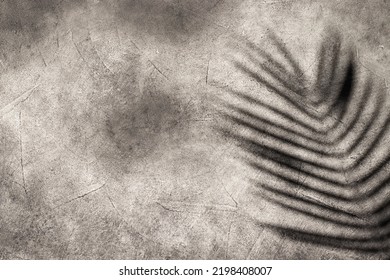 Palm Branch Shadow On A Black Background. Textured Wall.