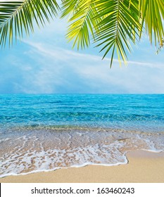 Palm Branches Over Tropical Beach Stock Photo 163460243 | Shutterstock