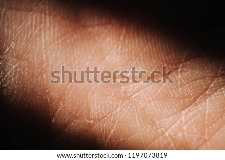 Similar – Image, Stock Photo advice. Back