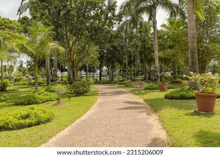 Palm collection in city park in Kuching, Malaysia, tropical garden with large trees and lawns, gardening, landscape design. Daytime with cloudy blue sky