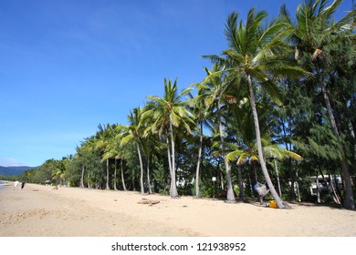 Palm Cove Beach Of Cairns, Australia