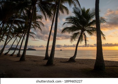 Palm Cove Beach At Sunset Palm Trees