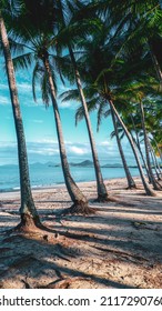 Palm Cove Cairns Queensland Summer 