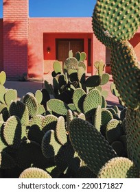 Palm Desert Home With Cacti