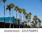 Palm framed afternoon view of historic downtown Chandler, Arizona, USA.