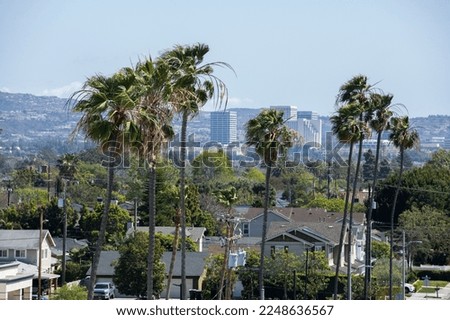 Palm framed view of downtown Costa Mesa, California, USA.