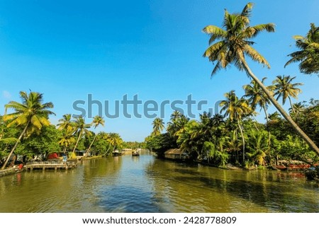 The palm fringed backwaters that attract the popular tourist houseboat cruises, alappuzha (alleppey), kerala, india, asia